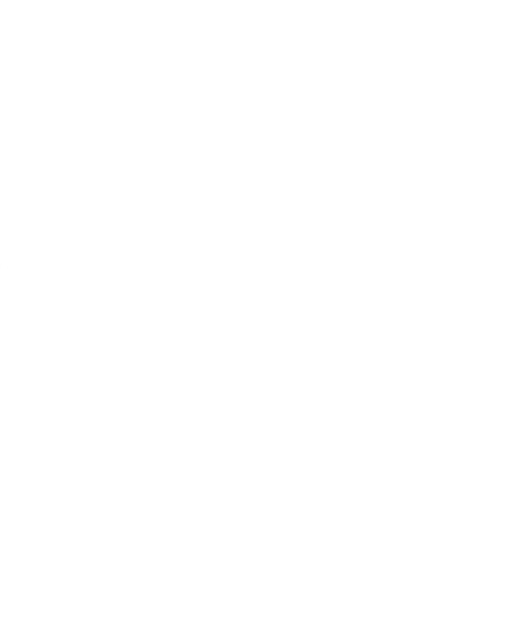 FLAWLESS（フローレス）